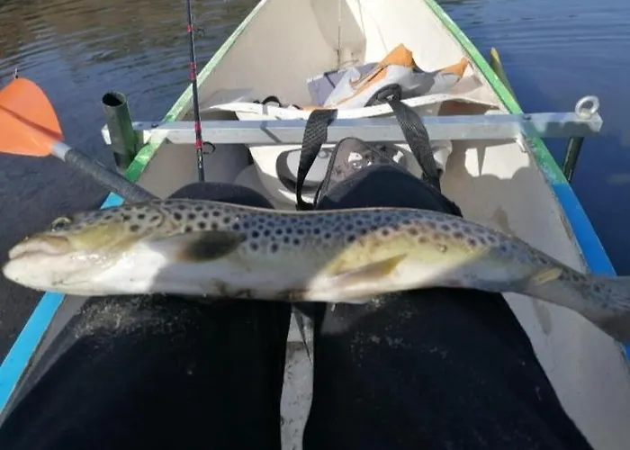 Casa Do Vouga 度假居 *